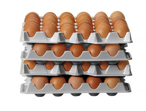 Set van 4 eierbakken voor HENDI OVOBOX 120 , HENDI, 291x288x(H)41mm, Rechthoekig