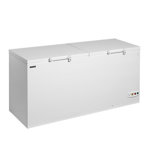 Diepvrieskist FR606 SL