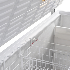 Diepvrieskist FR505 SL