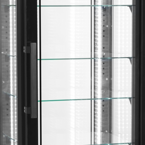 Vriesvitrine UPD400-F